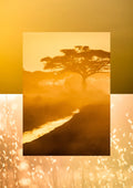Kruger